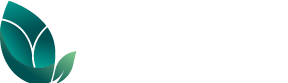 Saxon Renewables