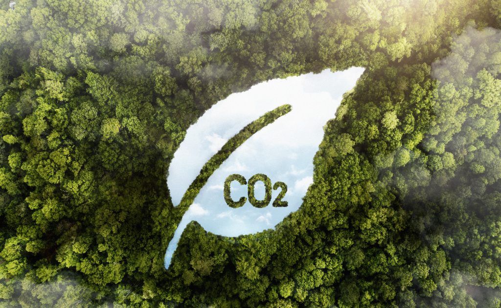 Carbon Credit