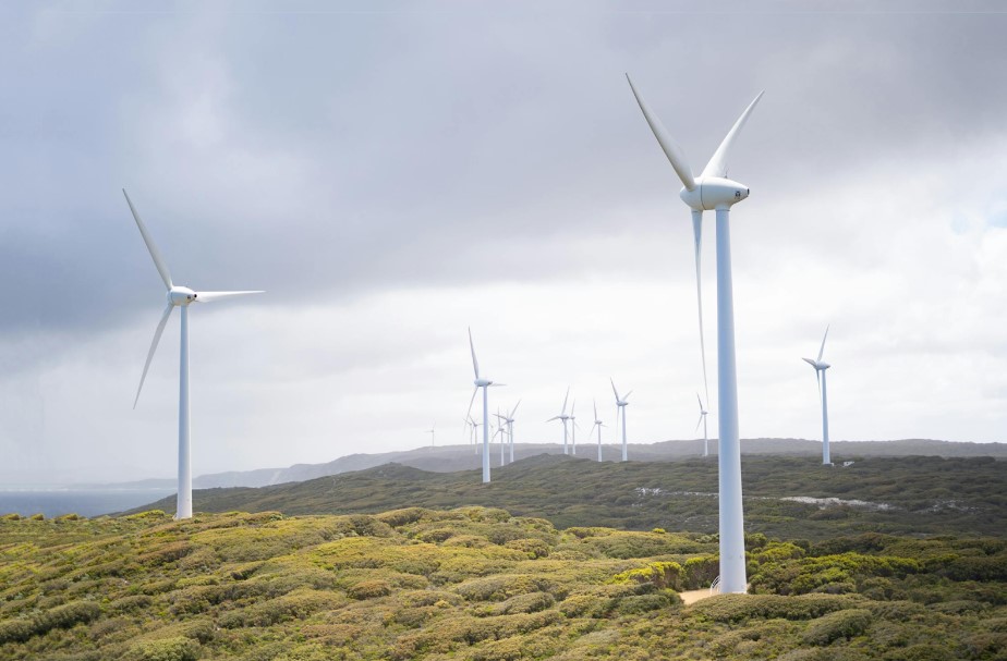 renewable energy wind